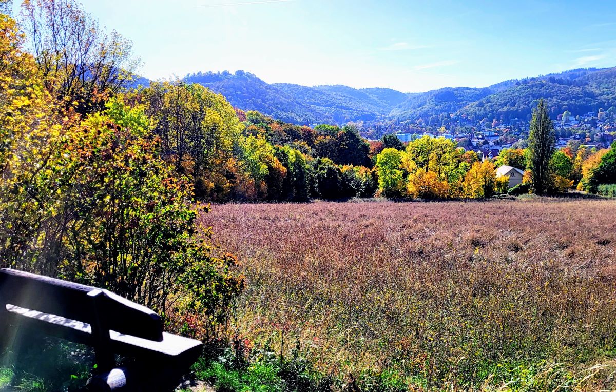 Wohnen mit besten Aussichten